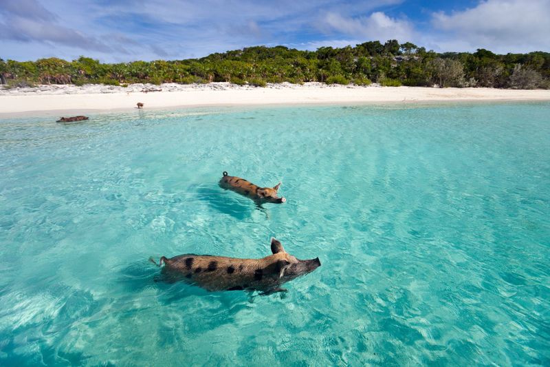 Exuma, Bahamas