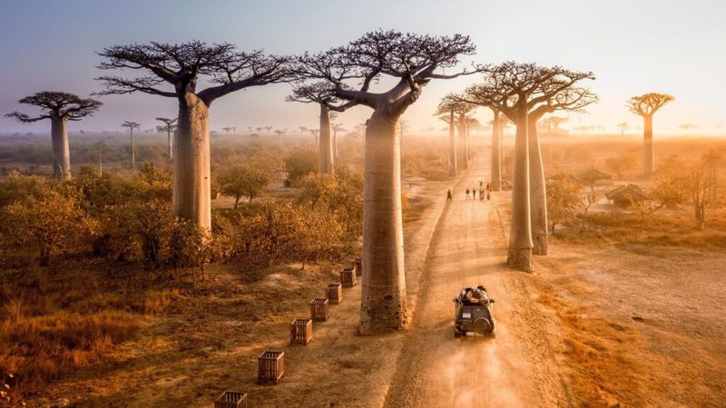 Madagascar