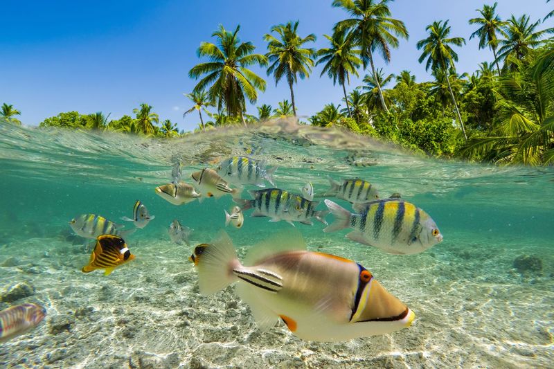 Fiji - South Pacific Paradise