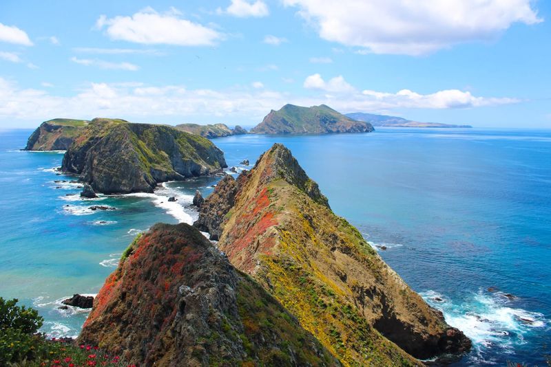 Channel Islands - California's Galapagos