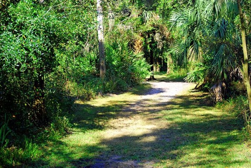 Take A Nature Walk