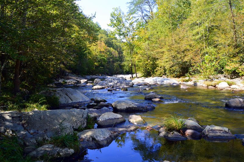 Discover The Peaceful Beauty Of Greenbrier