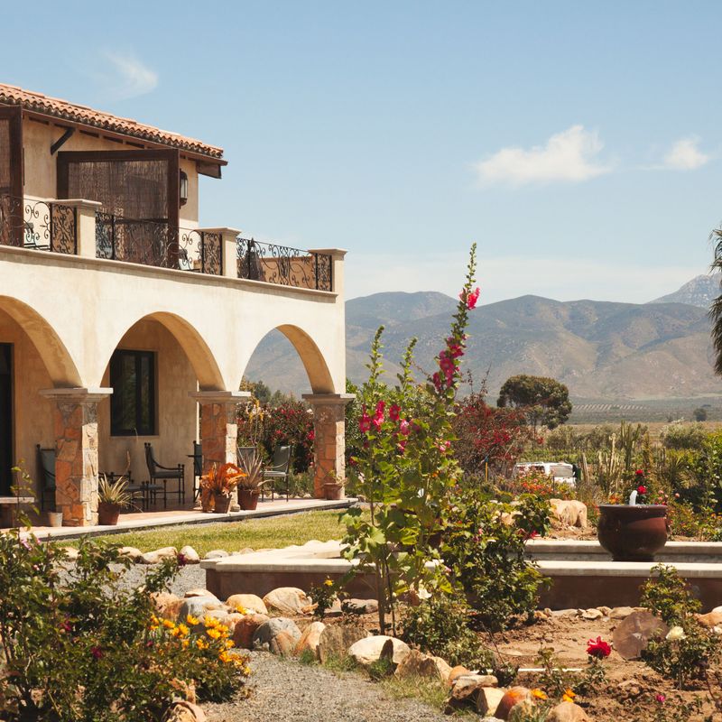 Taste Tradition at Viñas de Garza