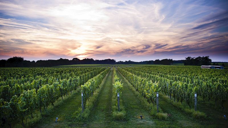 New York's North Fork