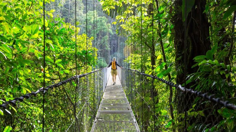 Costa Rica's Lush Paradise