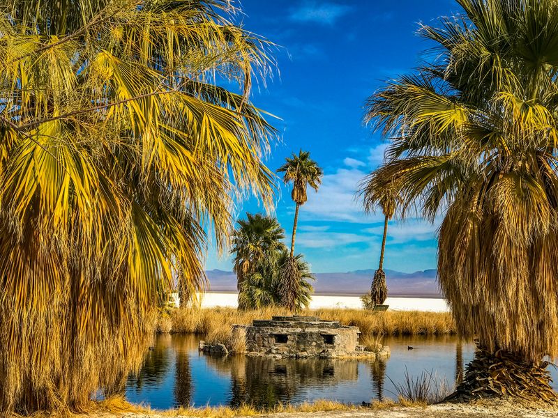 Zzyzx Road's Mysterious Desert Oasis