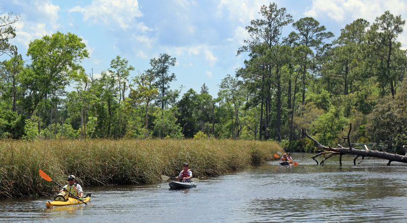 Ochlockonee River State Park