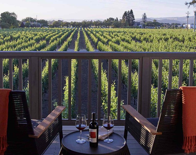 Napa Valley's Wine Country