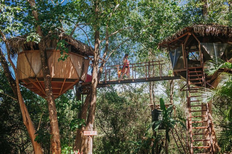 Rainforest Retreat