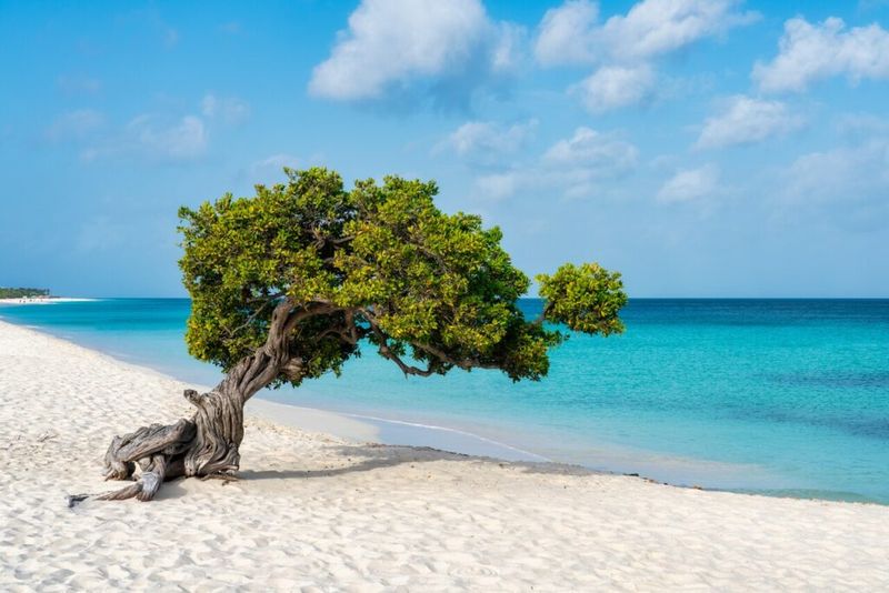Aruba - Worry-Free Paradise
