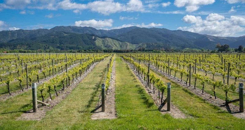Marlborough, New Zealand