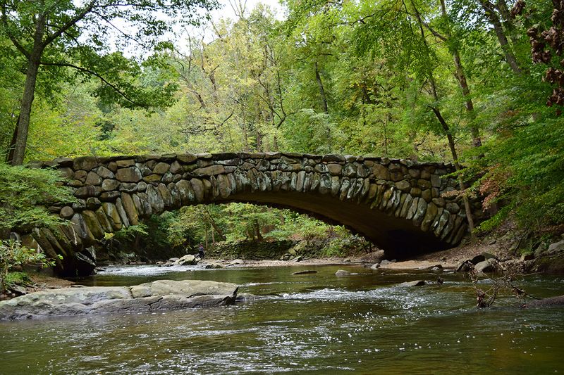 Urban Wilderness At Rock Creek Park