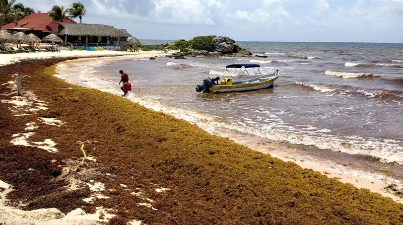 Water Pollution