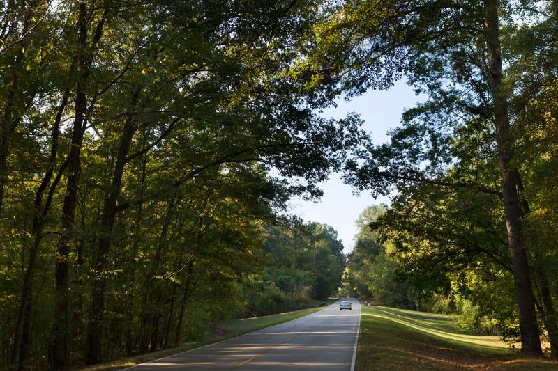Natchez Trace Parkway, Mississippi/Alabama/Tennessee