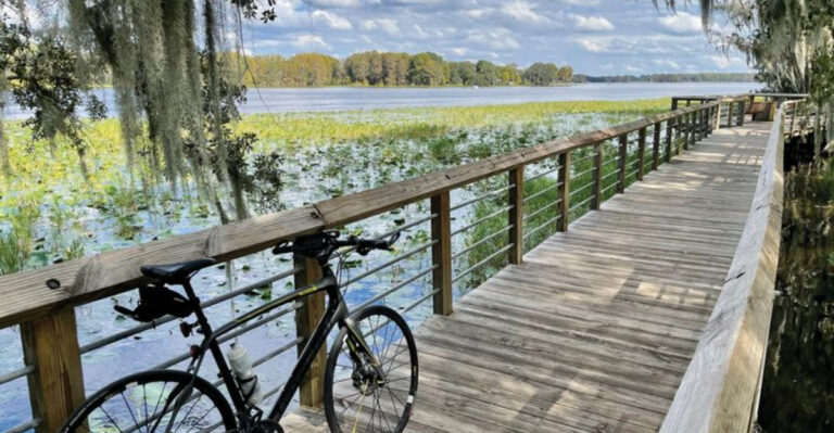 Best Florida Beaches For Bike Rides