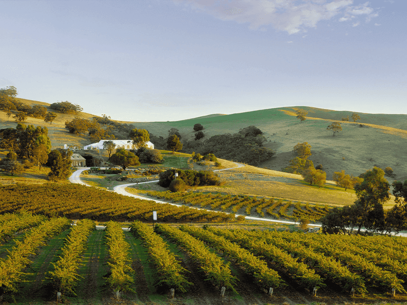 Slow Travel In Wine Country And Countryside