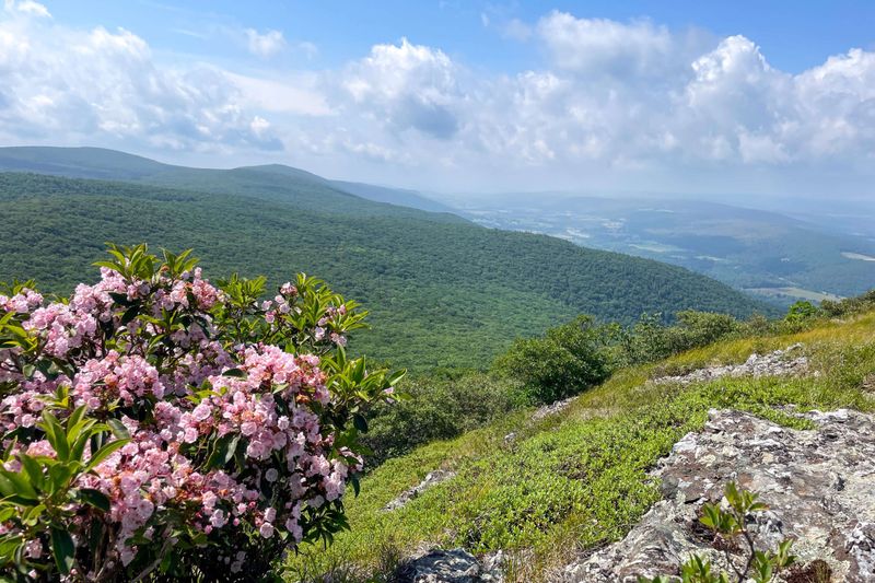 Trail Overview