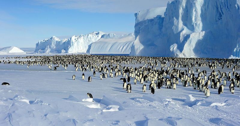 Antarctica