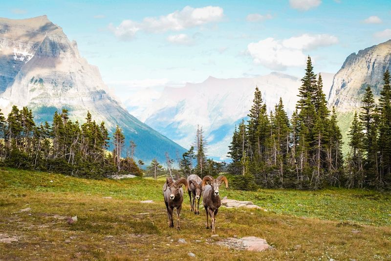 Glacier National Park, Montana