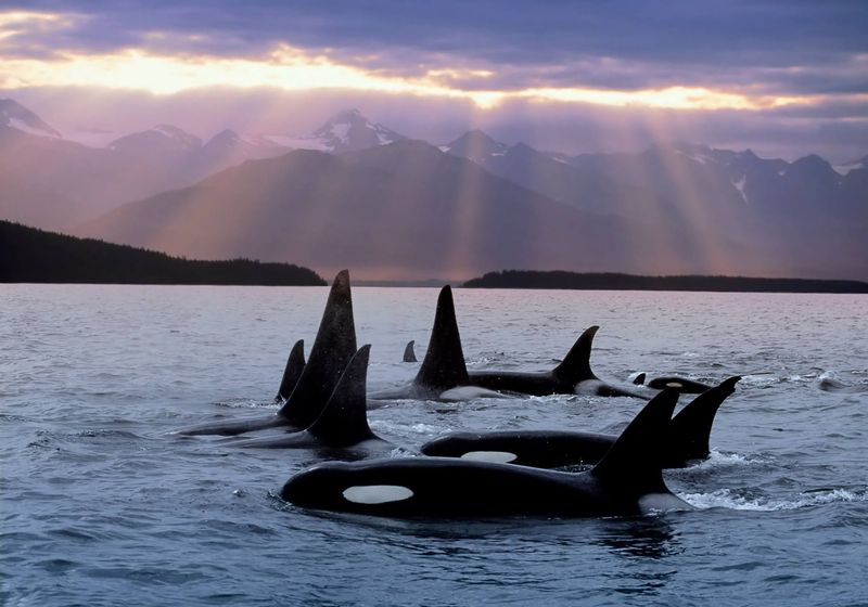 Orcas Island - Pacific Northwest Paradise