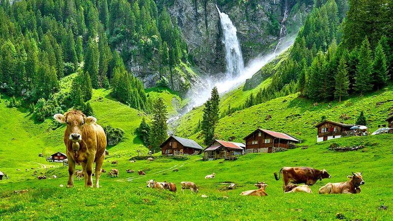 Appenzell's Rolling Green Hills