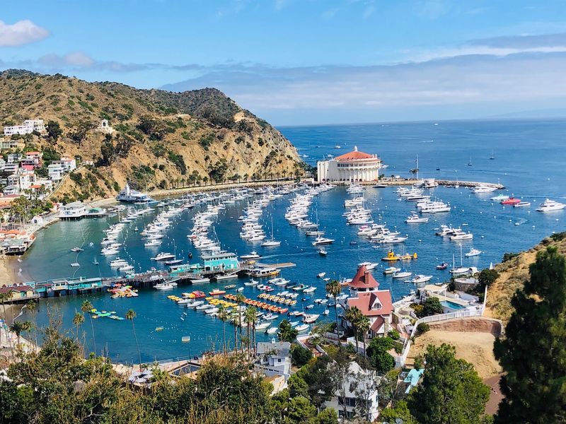 Catalina Island, California
