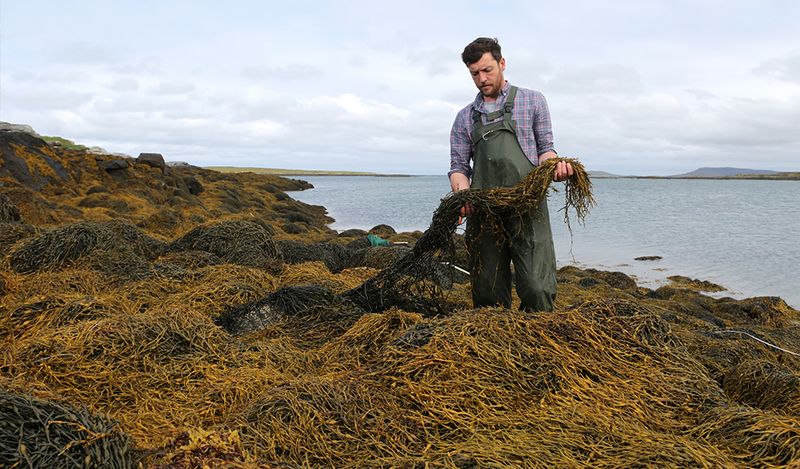 Coastal Scientists In Canada