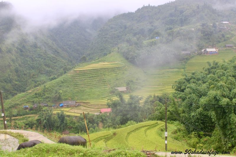 Sapa, Vietnam