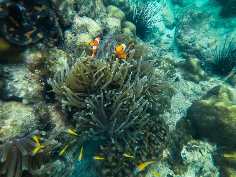 Ko Phi Phi, Thailand