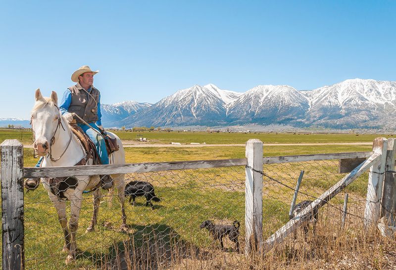 Minden: Carson Valley Gem