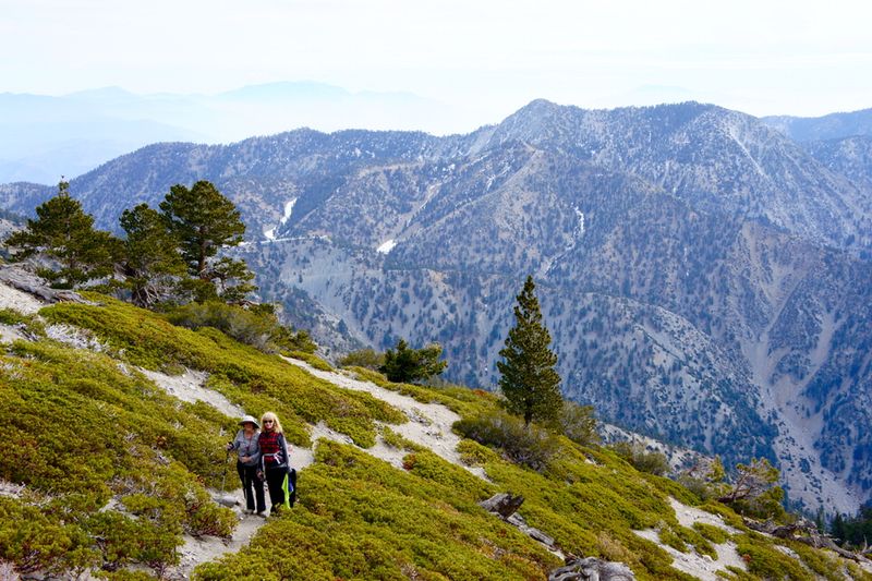 Mount Baldy via Ski Hut Trail