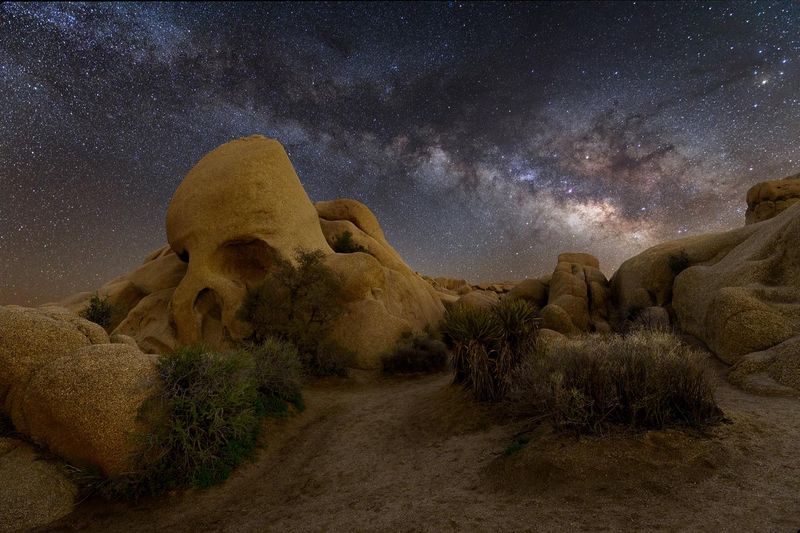 Joshua Tree: Desert Magic Under Starry Skies