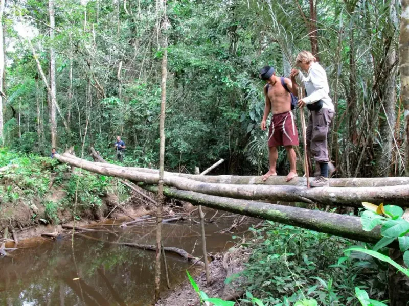 Trekking the Amazon Rainforest