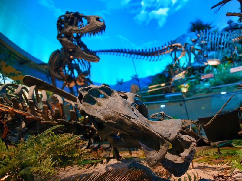 Children's Museum Of Indianapolis – Indianapolis, Indiana