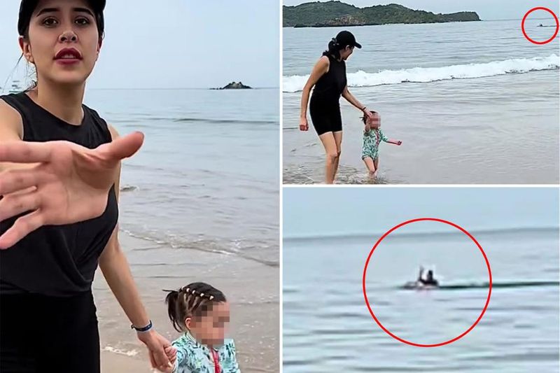 Ixtapa's Shark-Infested Waters