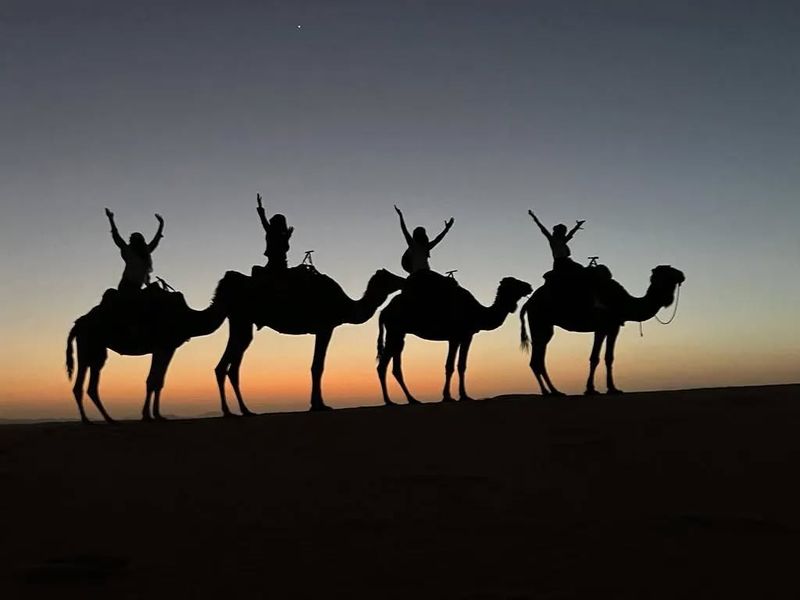 Camel Trek Through Morocco's Sahara Desert