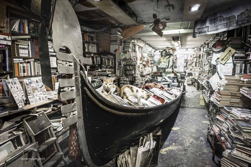 Venice’s Hidden Bookshop