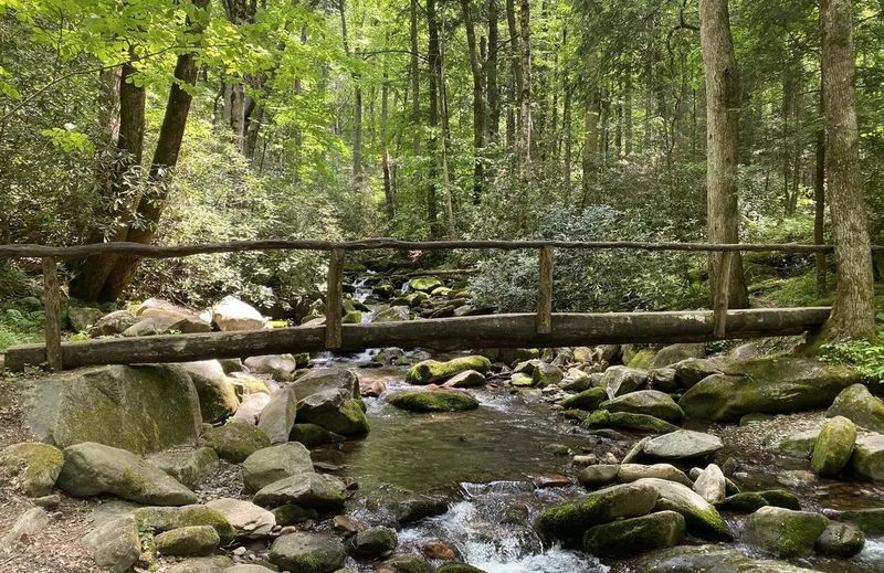Visit The Cosby Nature Trail For A Short Scenic Walk