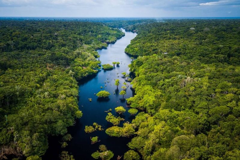 Brazil - Maintaining 74 National Parks