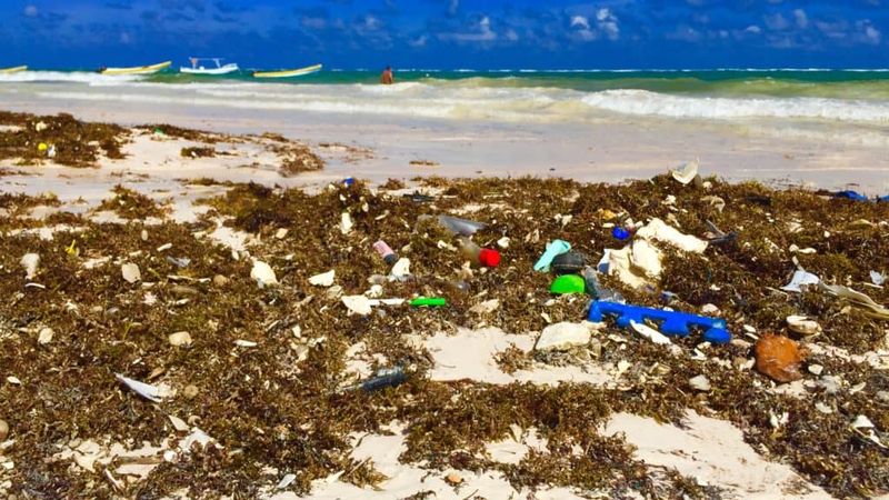 Tulum's Environmental Nightmares