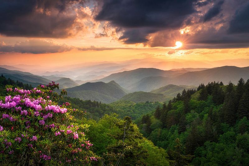 Great Smoky Mountains National Park