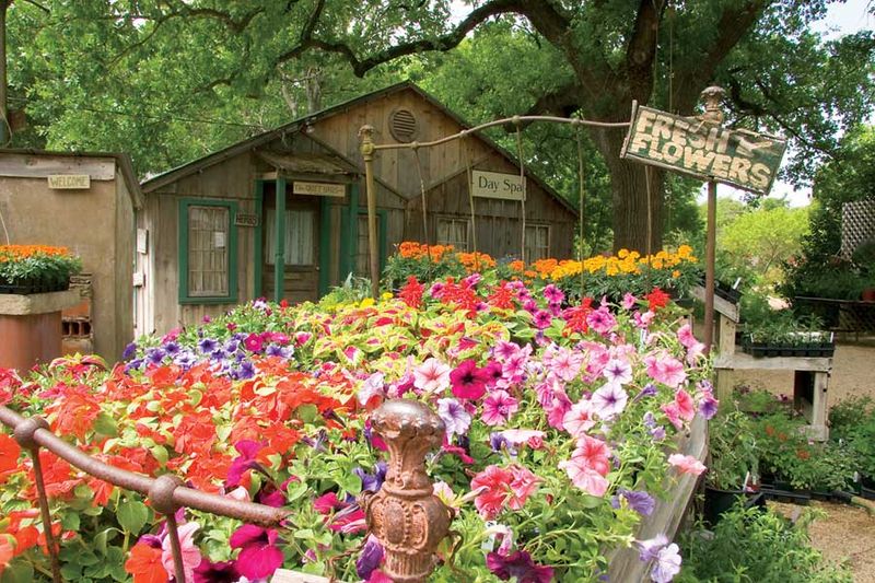 Fredericksburg, Texas
