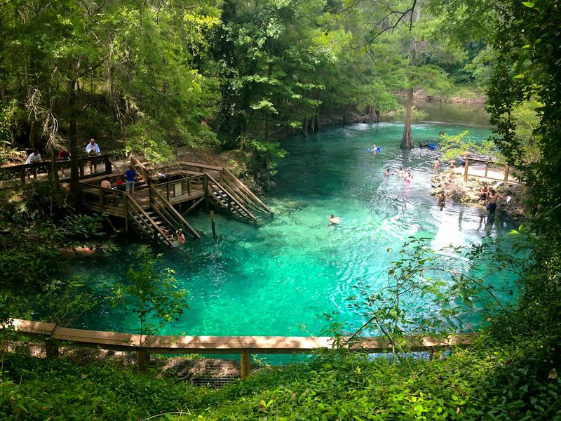 Panacea Blue Springs