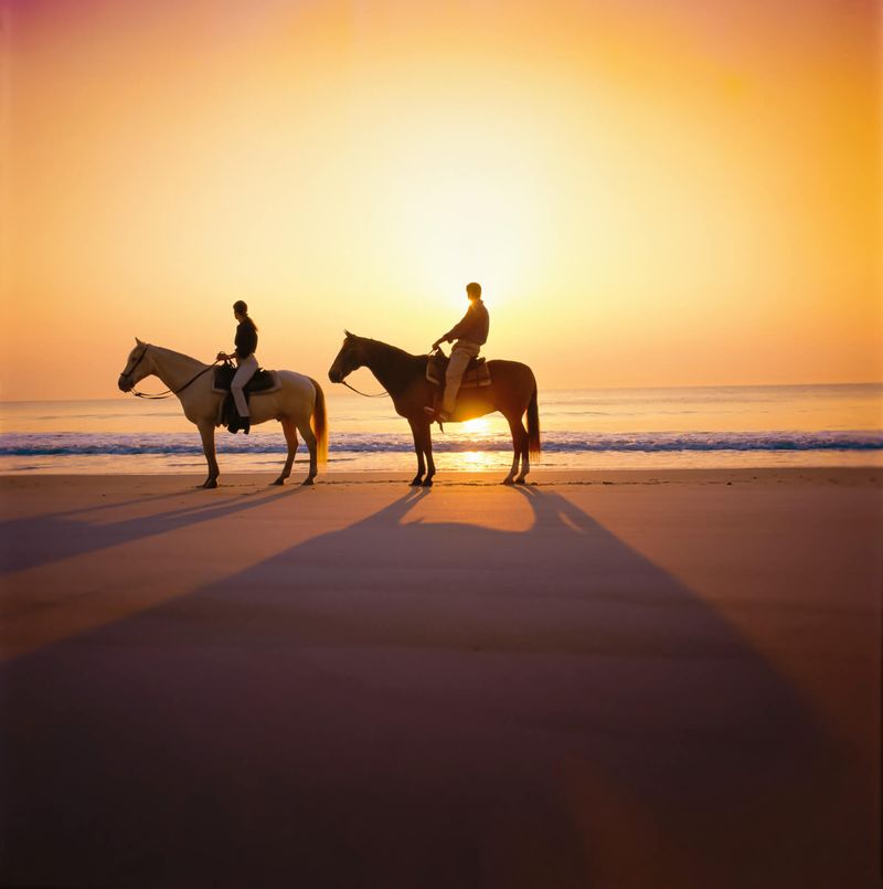 Amelia Island