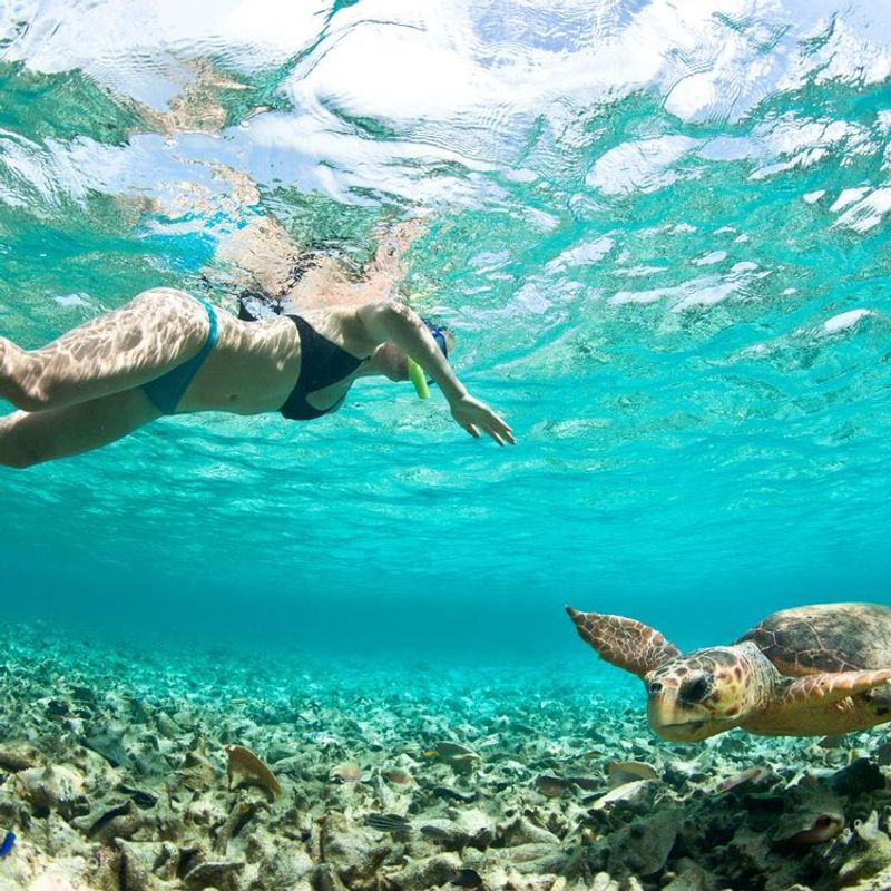 Apo Island, Philippines