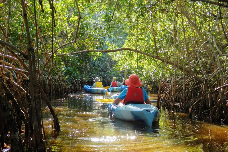 Everglades National Park, Florida