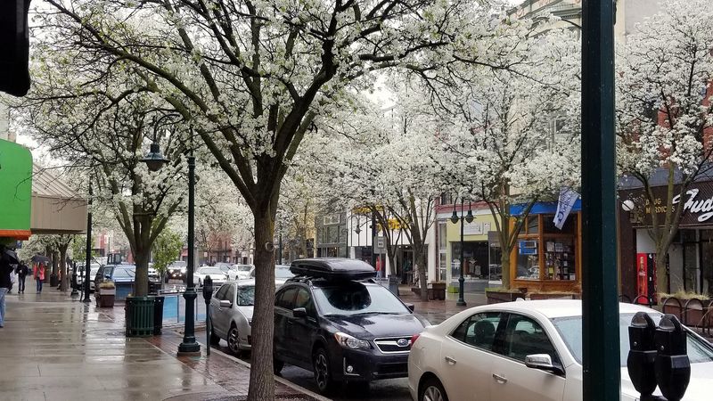 Traverse City: Cherry Capital Charm