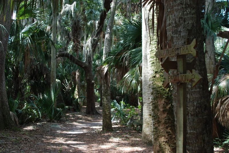Peaceful Nature Trails