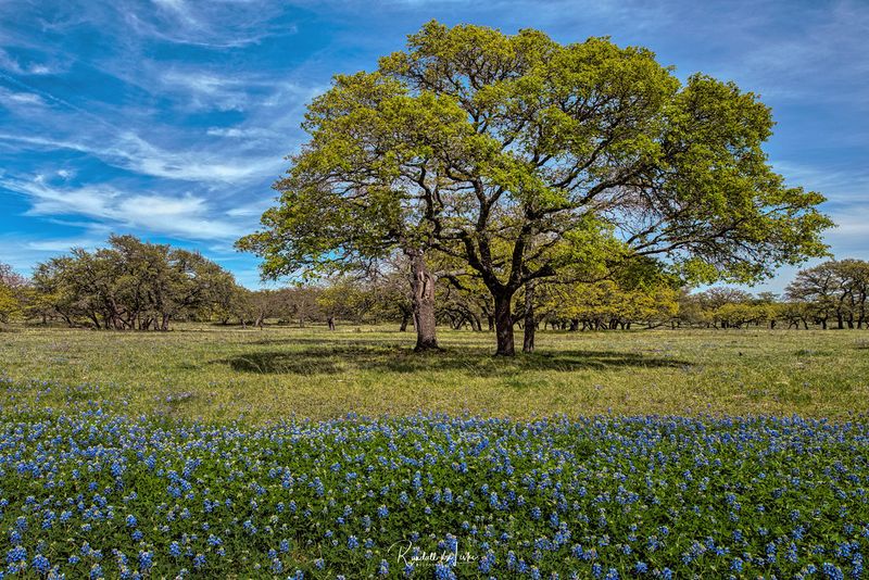 Gillespie County, Texas