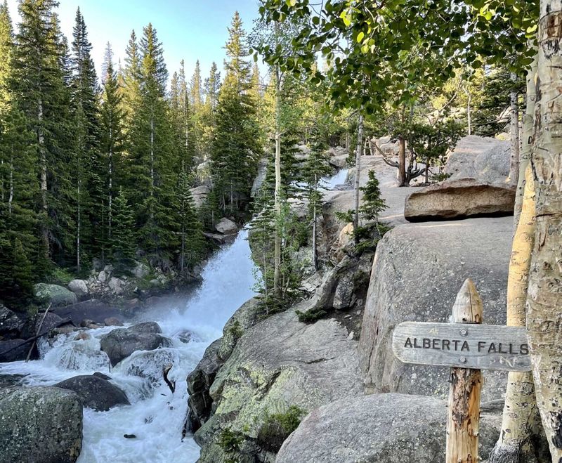 Alberta Falls Trail